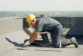 Best Roof Moss and Algae Removal  in Hilliard, OH